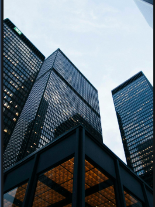Leading Profit-Making Companies in the US Stock Market: Insights for 2024